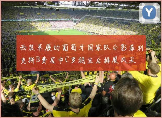 西装革履的葡萄牙国家队合影菲利克斯B费居中C罗稳坐后排展风采