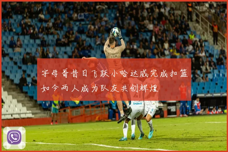 字母哥昔日飞跃小哈达威完成扣篮如今两人成为队友共创辉煌